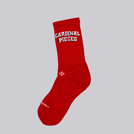 VARSITY SOCKS